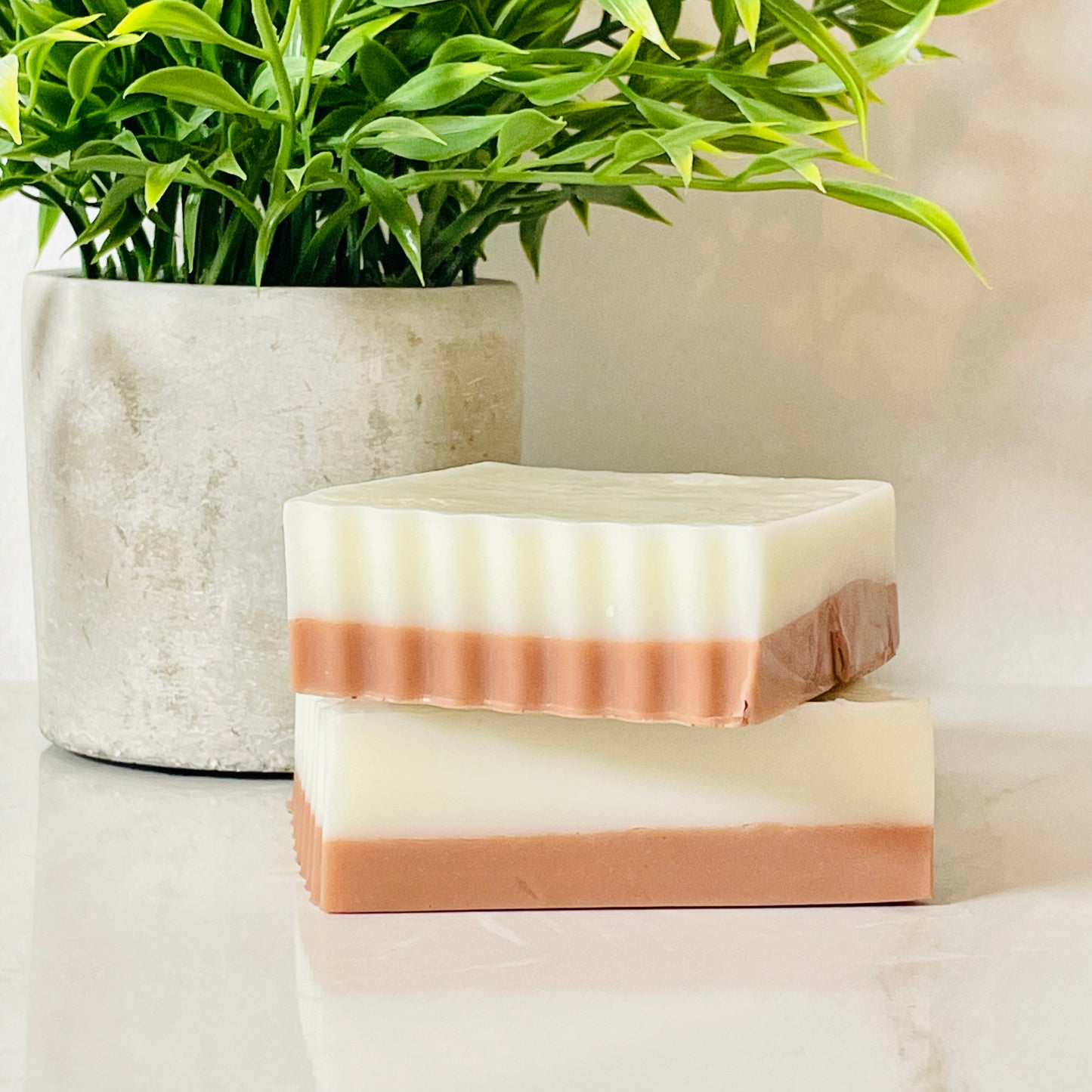 Cashmere Woods Cleanser Bar