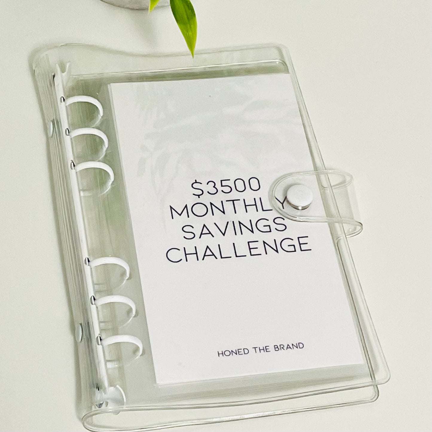 Minimal Monthly Savings Challenge Binder